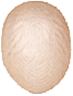 Micro Skin